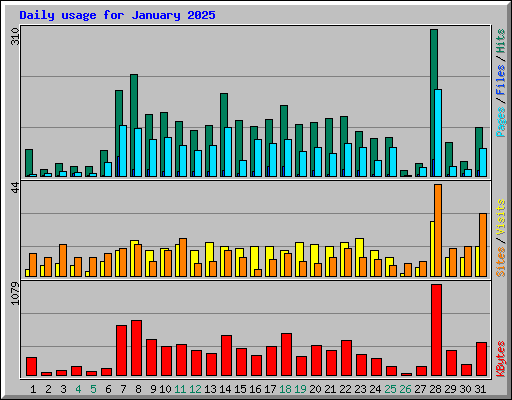Daily usage for January 2025