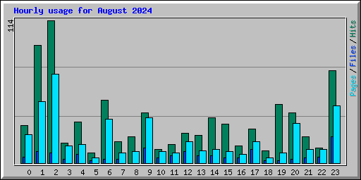 Hourly usage for August 2024