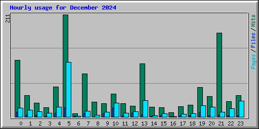 Hourly usage for December 2024