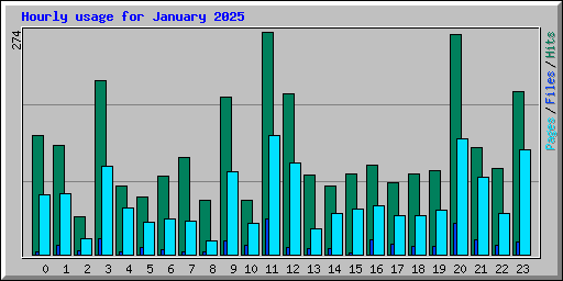 Hourly usage for January 2025