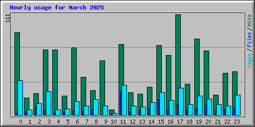 Hourly usage for March 2025